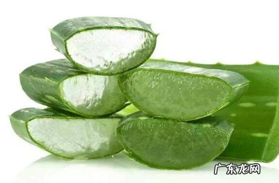 新鲜芦荟可以直接擦脸吗 芦荟怎么处理才能涂脸