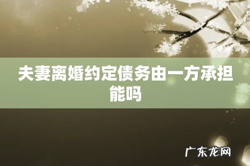 夫妻离婚约定债务由一方承担能吗