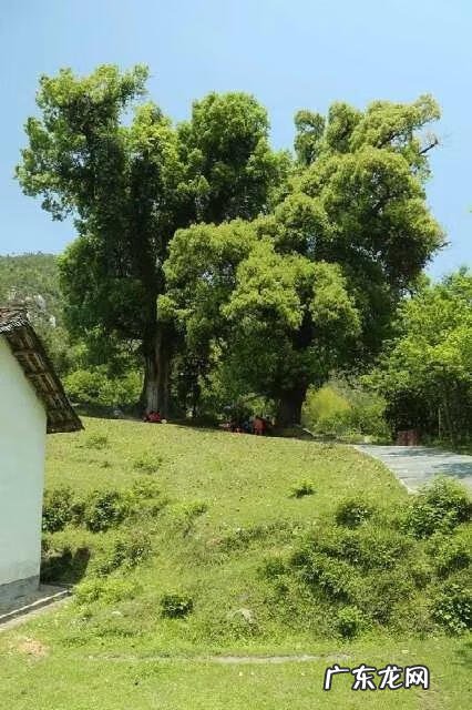 江西风水第一村三僚村有哪些大师 三僚村杨公风水第一村