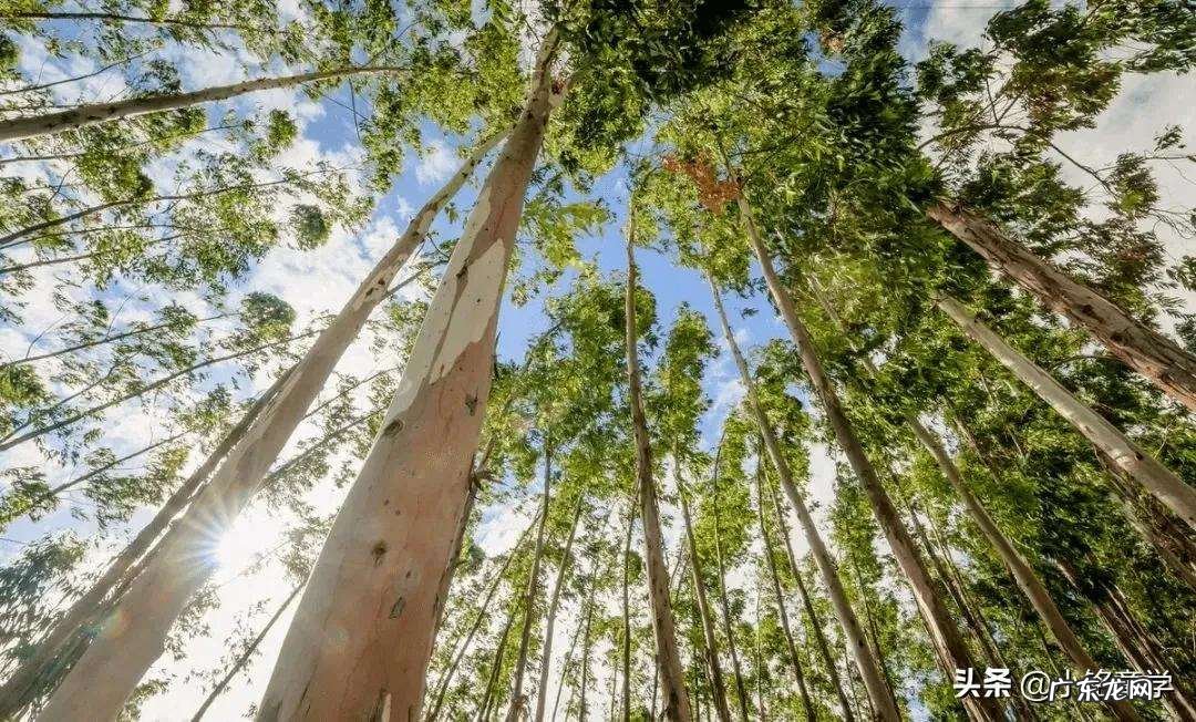 记住这些轻松搞定 上网买衣服如何买到性价比高的衣服
