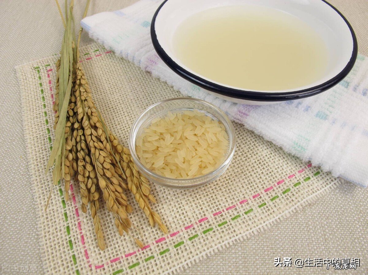 盘点淘米水的10种小妙招 淘米水的妙用你知道吗