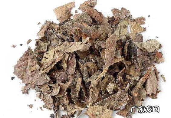 枇杷茶的功效与作用及禁忌