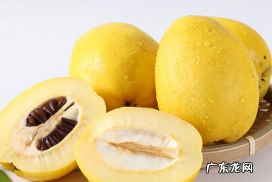 酸木瓜三七泡酒的功效与作用