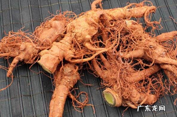 酸木瓜三七泡酒的功效与作用