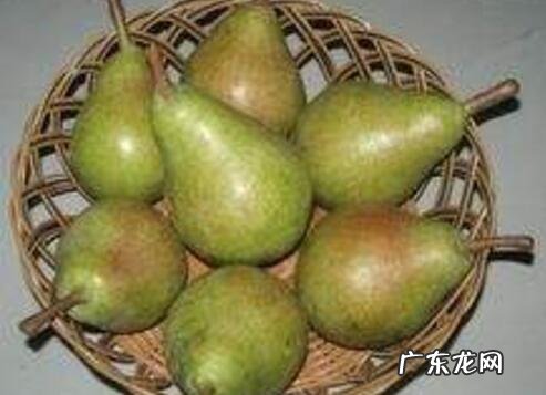 茄梨的功效和作用 吃茄梨的好处