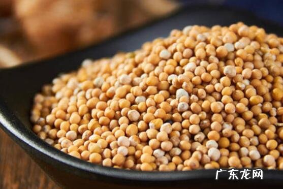 白芥籽的功效与作用 白芥籽的副作用