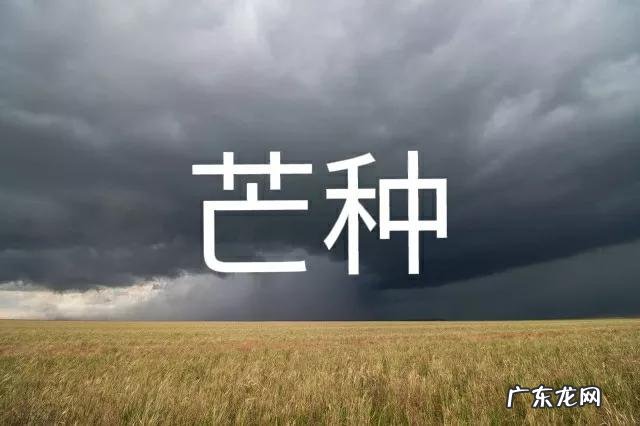 看老祖宗的农谚是怎么说的 芒种节气下雨有啥说法
