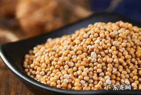 芥菜籽油的药用功效 芥菜籽油有哪些功效与作用