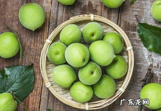 青梅酵素的功效与作用