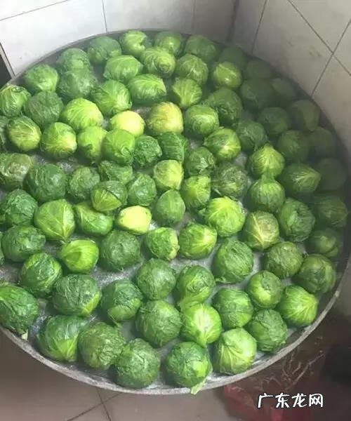 博白梁氏风水宝地 博白有名风水宝地