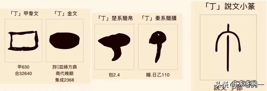 关于甲骨文“丁”字之含义 目不识丁和“丁”之字义字形演化