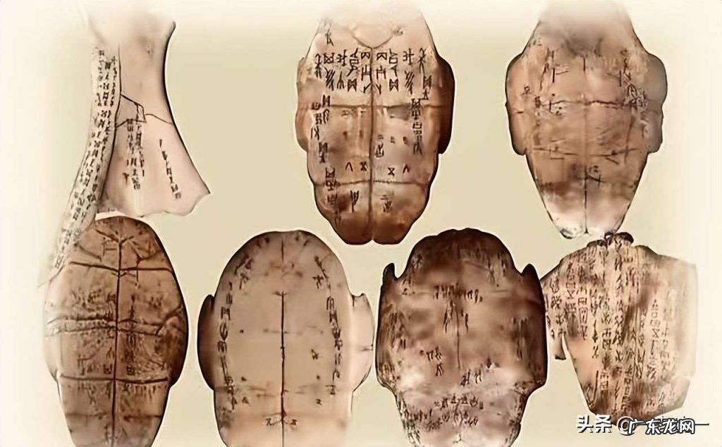 关于甲骨文“丁”字之含义 目不识丁和“丁”之字义字形演化