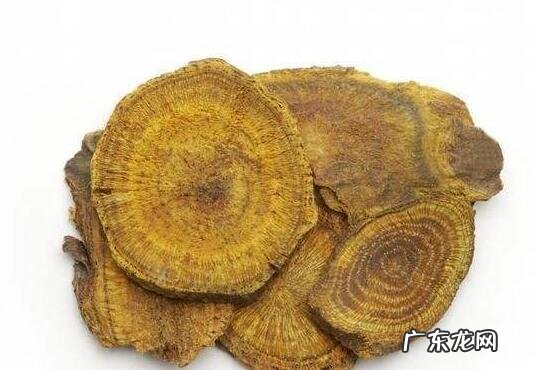 大黄的功效与作用及副作用