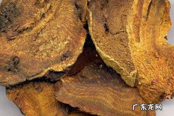 大黄的功效与作用及副作用