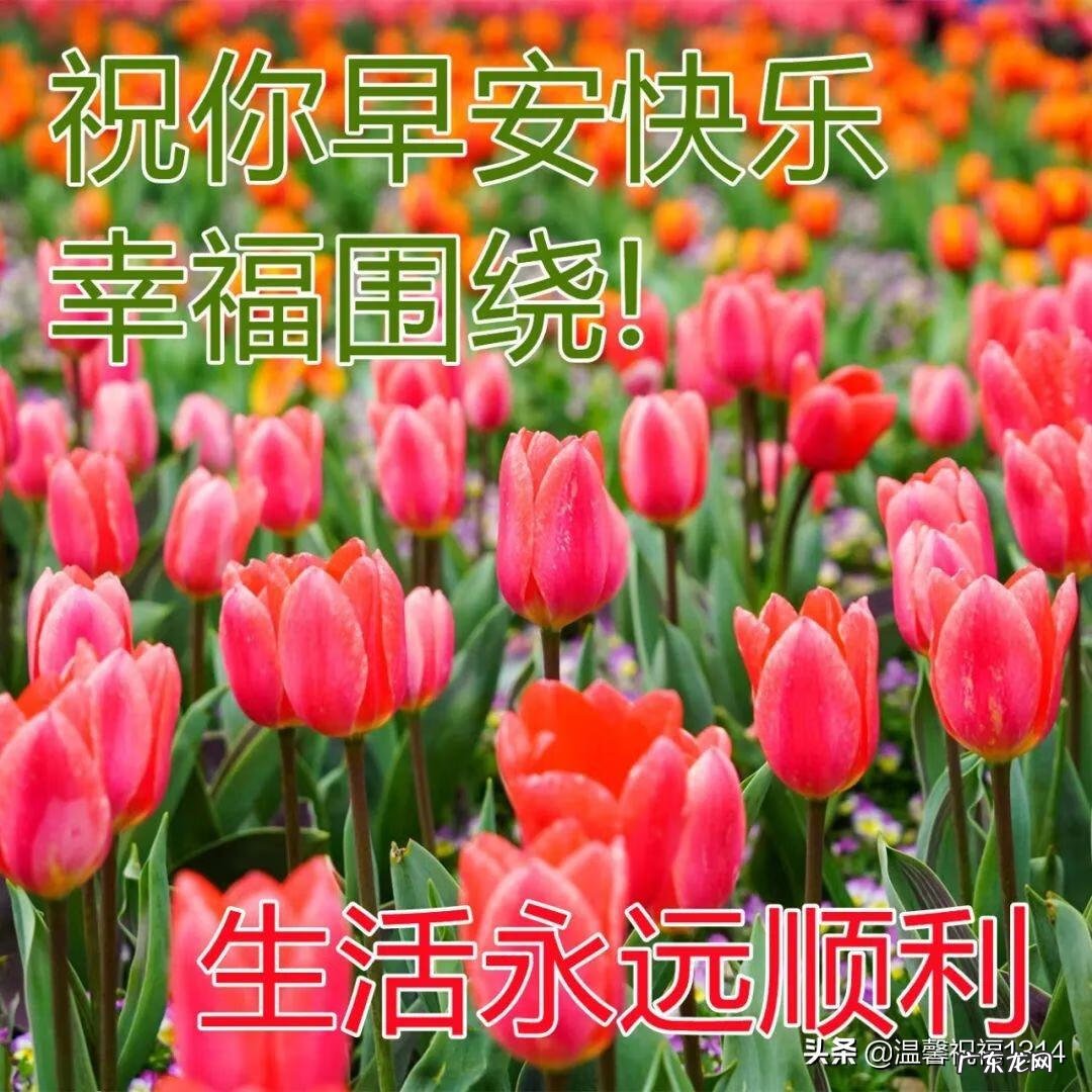 问候短信客户简短 问候短信2022