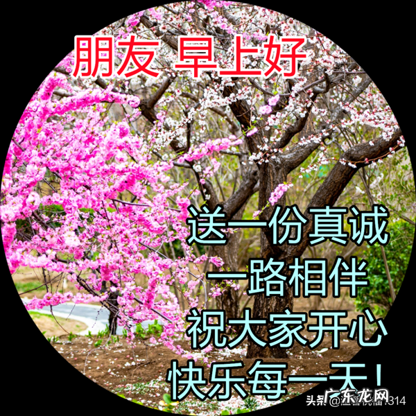 问候短信客户简短 问候短信2022