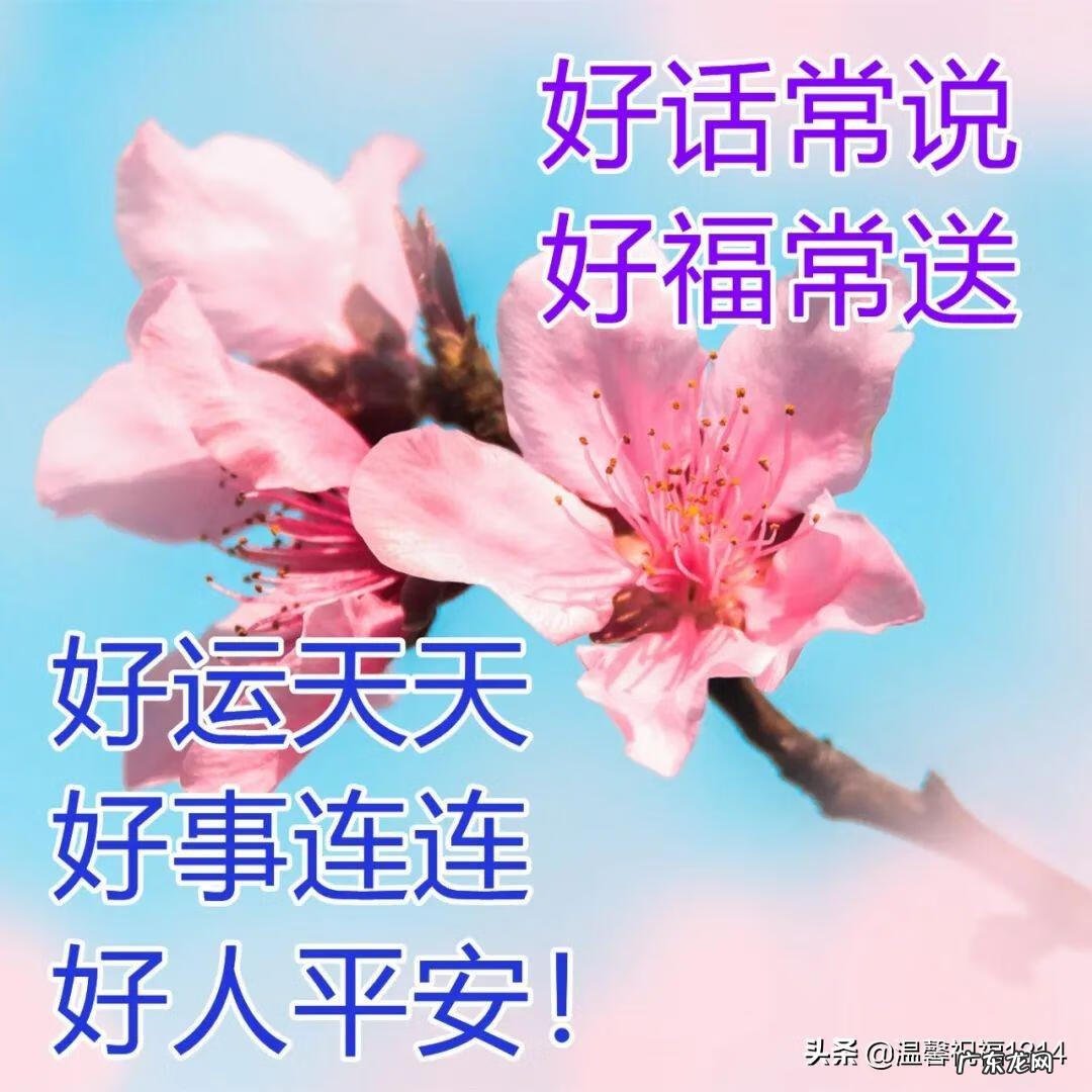 问候短信客户简短 问候短信2022