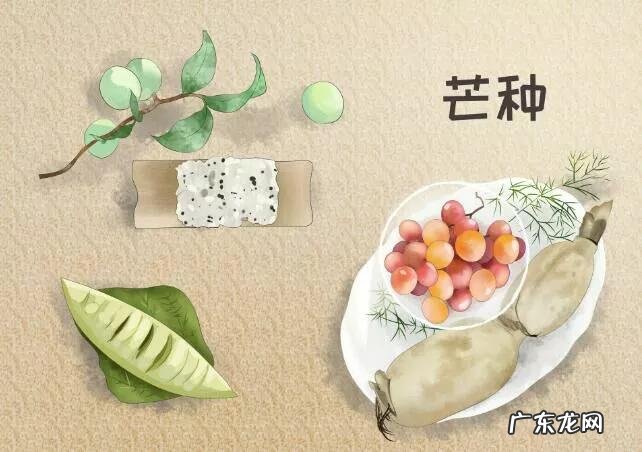 芒种又留传了哪些习俗呢 芒种是什么意思