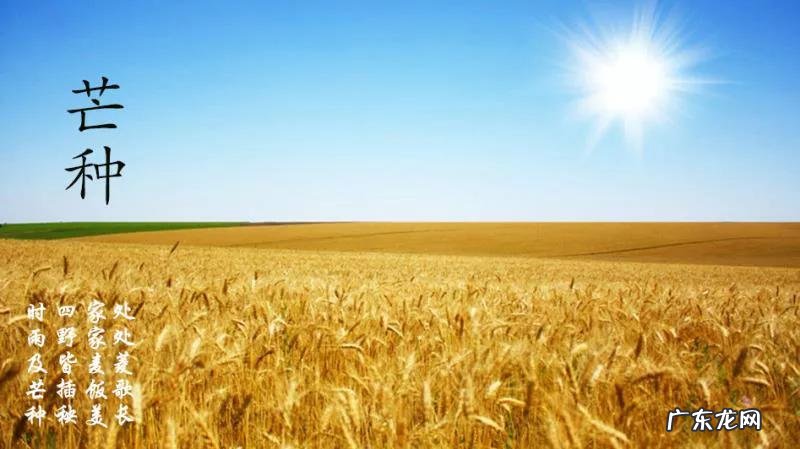 芒种又留传了哪些习俗呢 芒种是什么意思