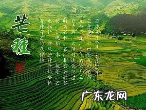 芒种又留传了哪些习俗呢 芒种是什么意思