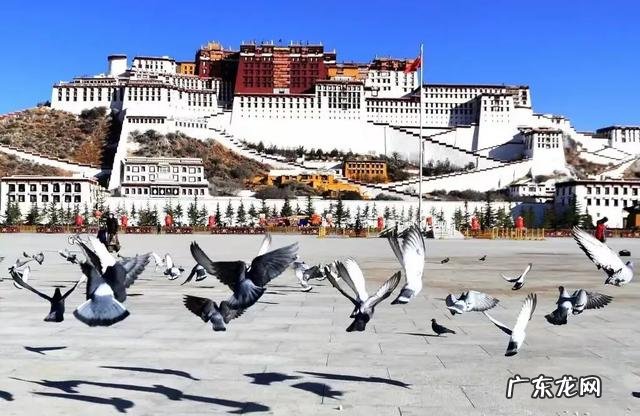 沿途站点有哪些景点 坐上那火车去拉萨是什么体验