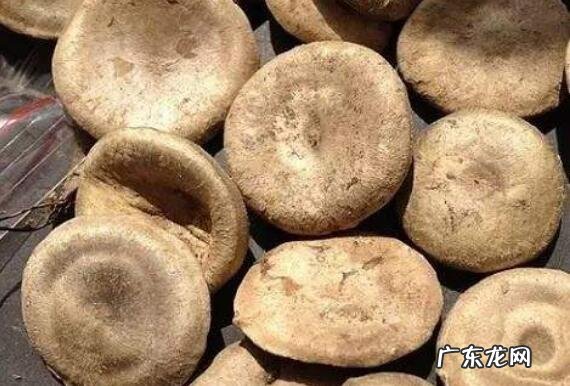 马钱子油的功效与作用