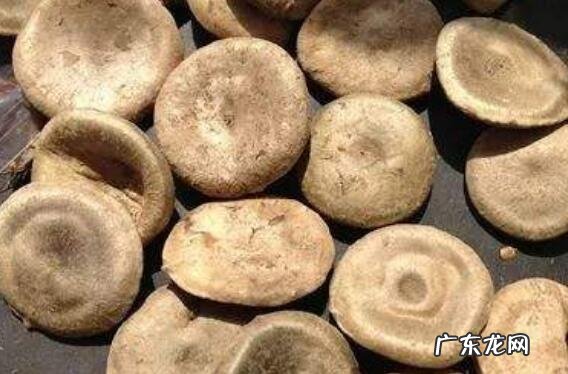 马钱子油的功效与作用