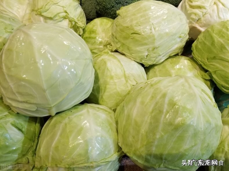 教大家挑选包菜和烹饪技巧 怎么选好吃的包菜