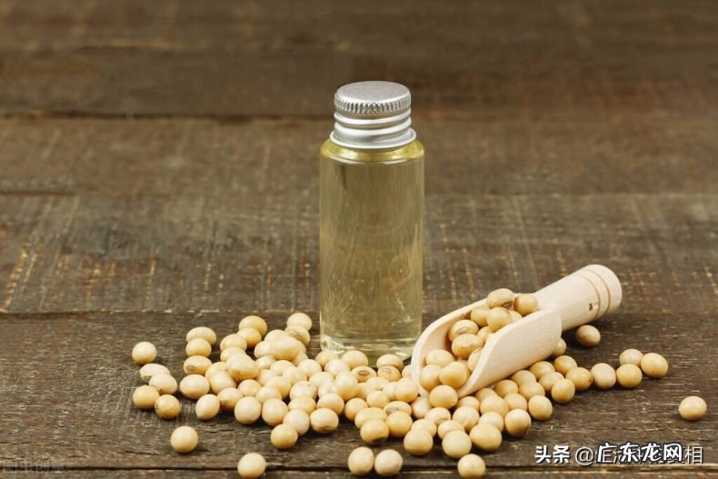 教你正确的挑选食用油技巧 油是不是越贵越好吗