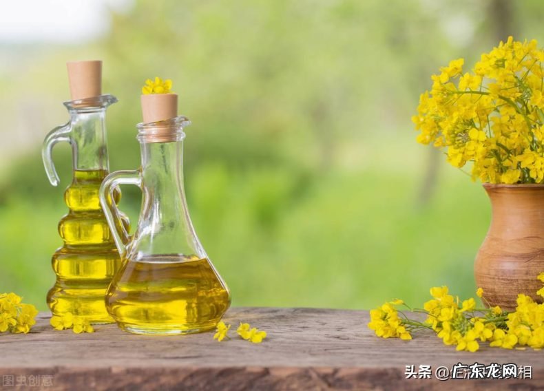 教你正确的挑选食用油技巧 油是不是越贵越好吗