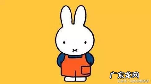 米菲的故事动画片