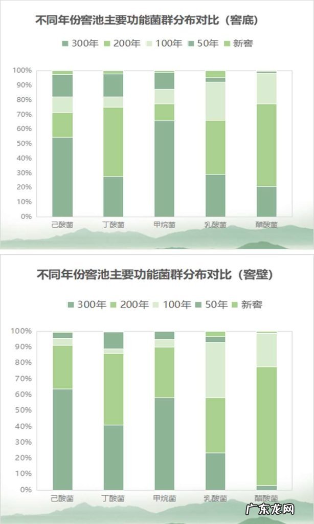 四川为什么能撑起中国白酒界的半壁江山?