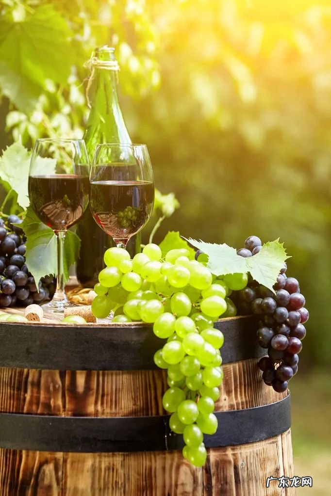 是因为白酒太烈了吗 中国白酒品牌为什么不能走向世界