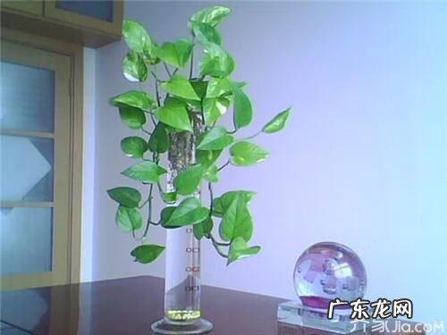 五谷丰收 丰收的风水