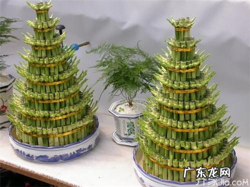 五谷丰收 丰收的风水