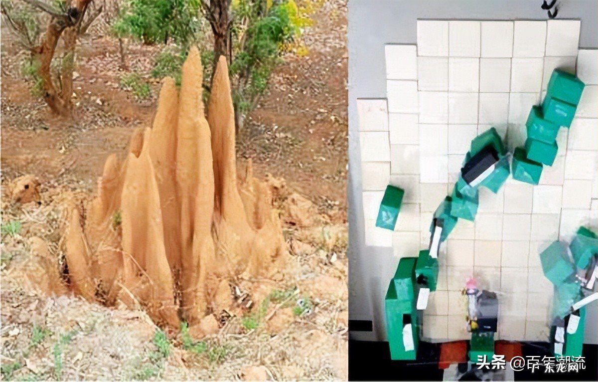 仿生机器动物有哪些 仿生机器动物让人类打开全新的认知