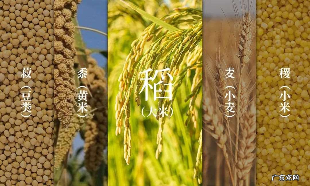 藏着怎样的时代风华 江西酒为什么最没存在感