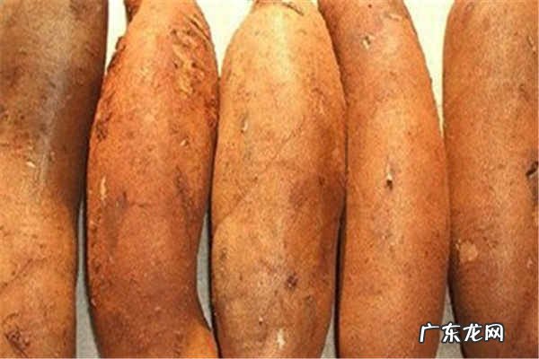 女人每天吃雪莲果好吗