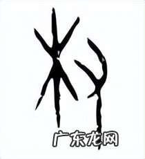 盘点表示权的字 权字和權字汉字解象