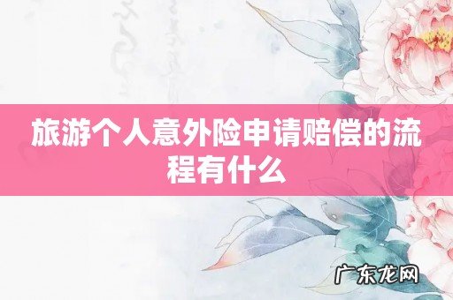 旅游个人意外险申请赔偿的流程有什么