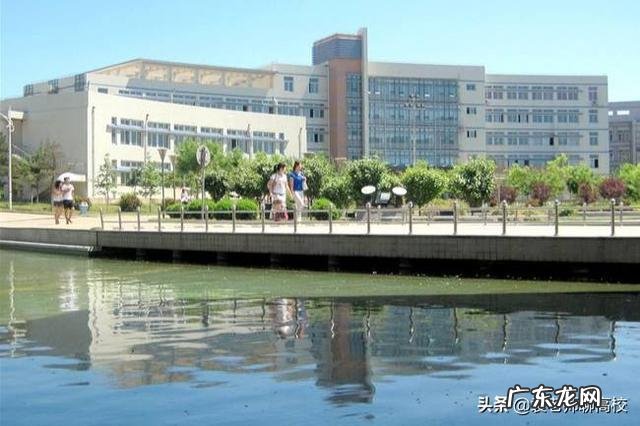 黑龙江科技大学和东北石油大学分数线哪个更低一点？