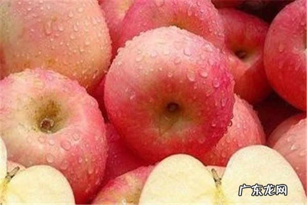 秋天有什么水果哪些果实熟了