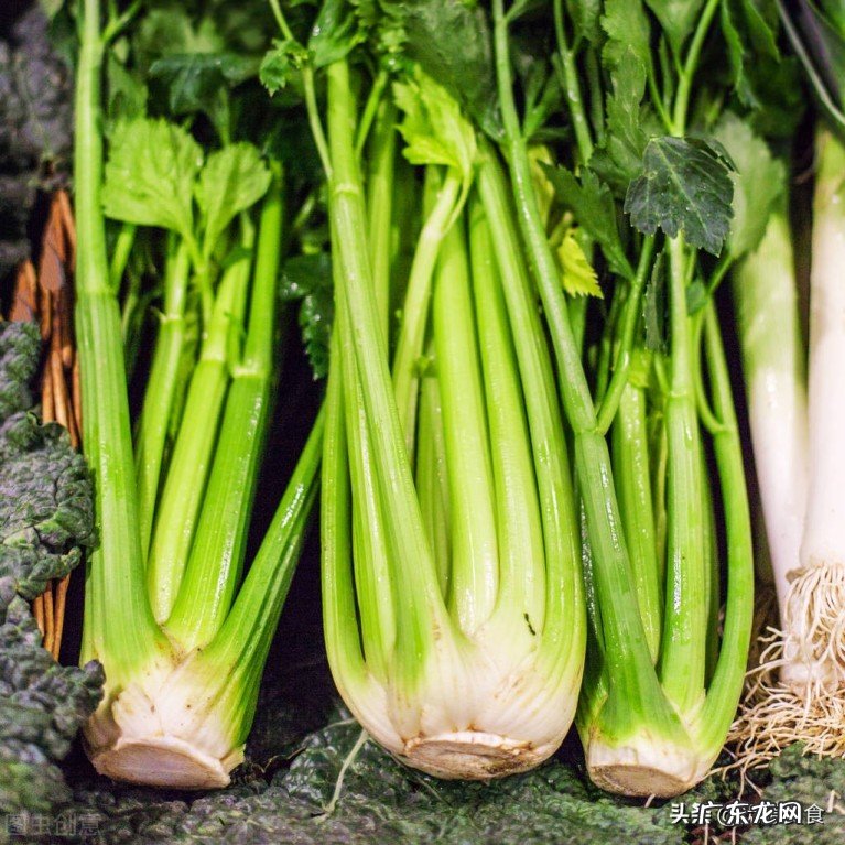 芹菜是粗的好还是细的好,如何挑选新鲜的芹菜?