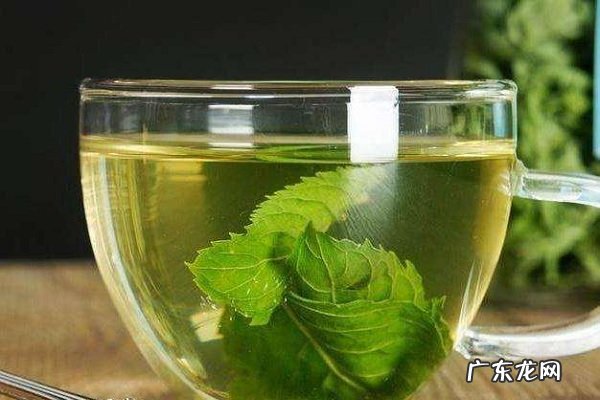 冬瓜荷叶茶能减肥吗有哪些功效