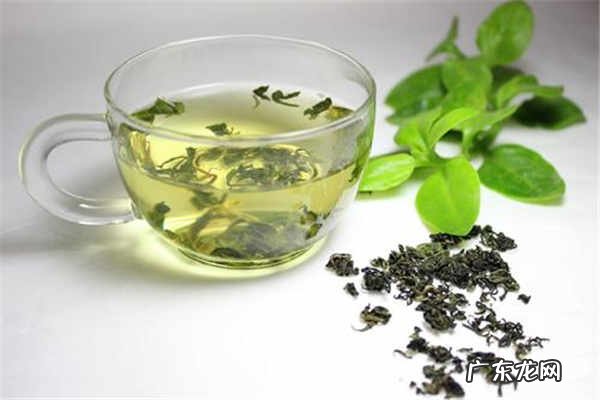 枸杞芽茶什么人不能喝禁忌有哪些