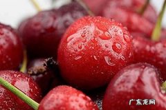 车厘子一天吃20个会上火吗吃多了怎么办