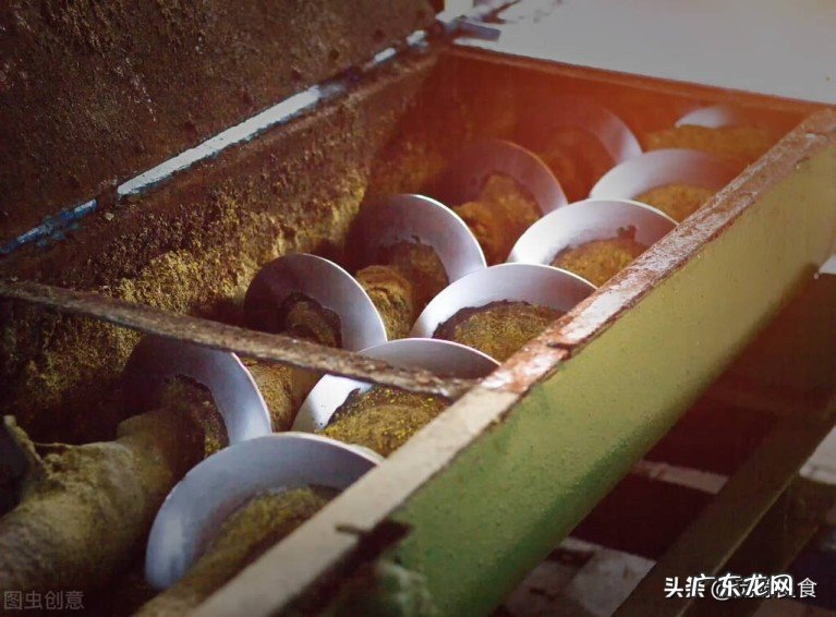 低芥酸菜籽油与普通菜籽油有什么区别?