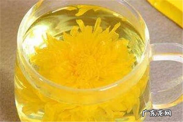 菊花茶能天天喝吗有什么功效