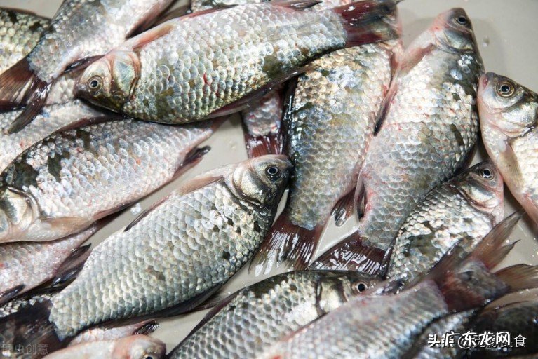 什么样的鲫鱼最值得购买？教你挑选鲫鱼的3个方法