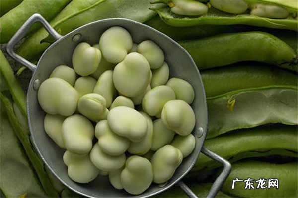 蚕豆病不能吃的食物需要注意什么